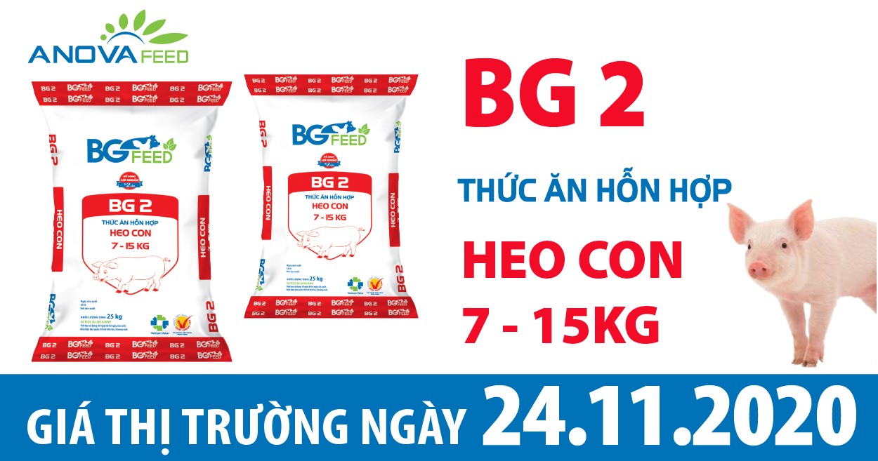 Anova Feed - Giá heo hơi hôm nay 24/11/2020 giảm trên diện rộng do tình hình dịch tả heo Châu Phi.