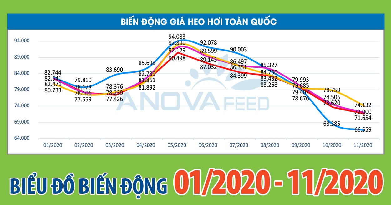 ANOVA FEED - BIỂU ĐỒ GIÁ THỊ TRƯỜNG CHĂN NUÔI TỪ THÁNG 01 - 11/2020