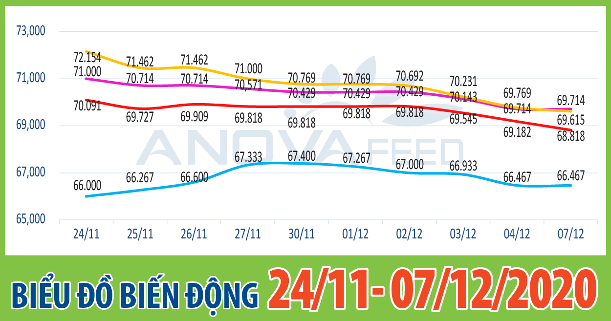 ANOVA FEED - BIỂU ĐỒ BIẾN ĐỘNG GIÁ THỊ TRƯỜNG CHĂN NUÔI NĂM 2020 TỪ 24/11 - 07/12/2020