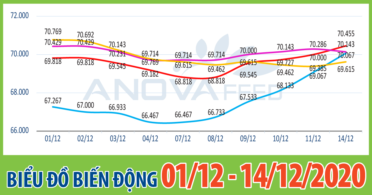 ANOVA FEED - BIỂU ĐỒ BIẾN ĐỘNG GIÁ THỊ TRƯỜNG CHĂN NUÔI NĂM 2020 TỪ 01/12 - 14/12/2020