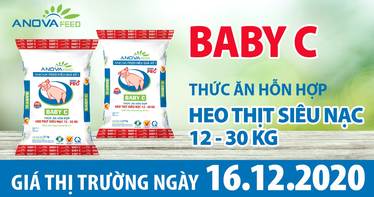 Anova Feed - Giá heo hơi 16/12/2020, giảm mạnh ở nhiều tỉnh.