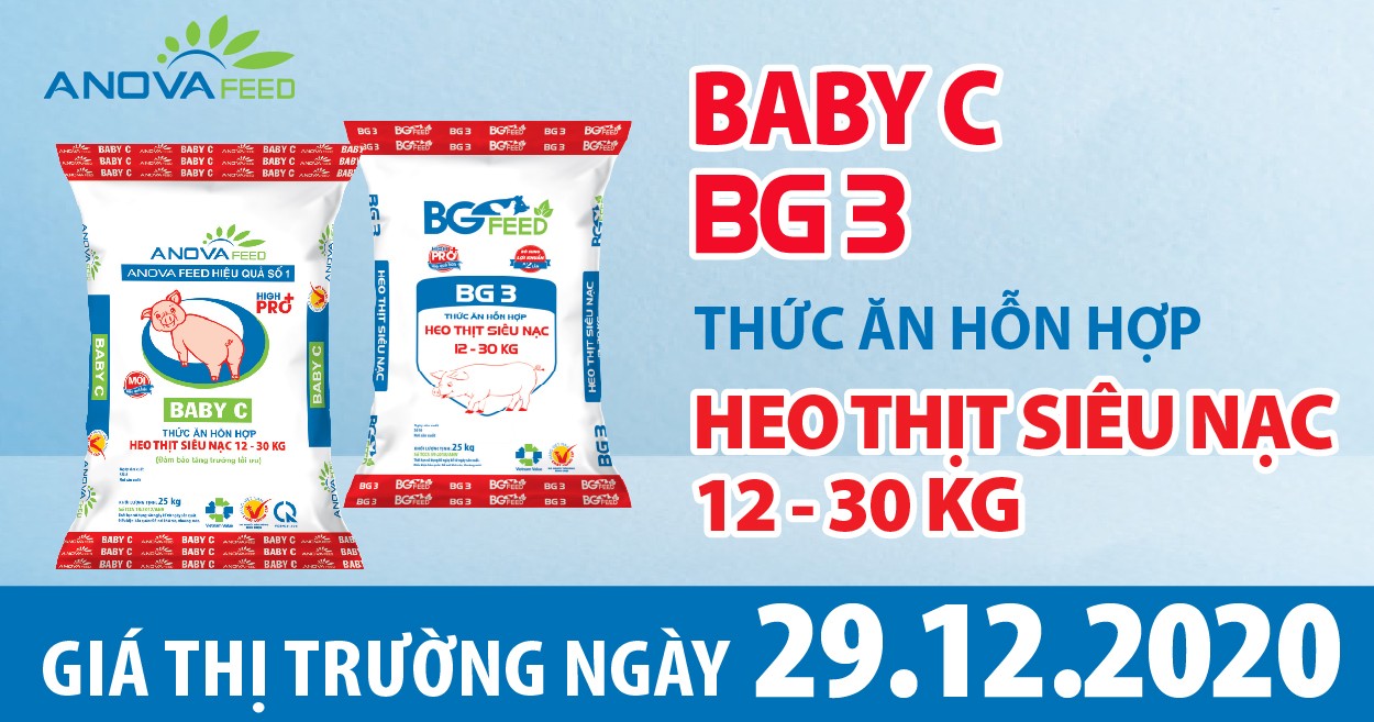 Anova Feed - Giá heo hơi 29/12/2020, tăng nhẹ.