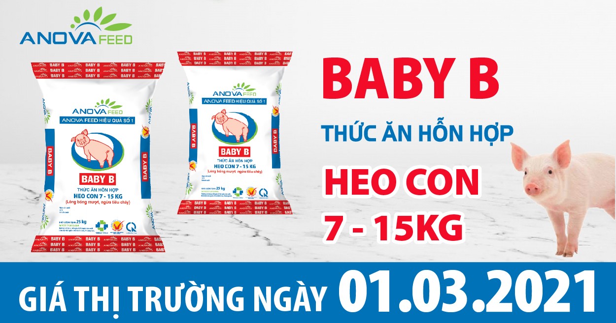 Anova Feed - Giá heo hơi 01/03/2021, giảm ở một số tỉnh.