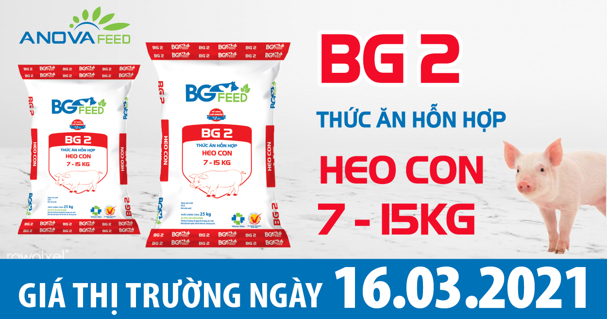 Anova Feed - Giá heo hơi hôm nay 16/03/2021 chững giá cả 3 miền