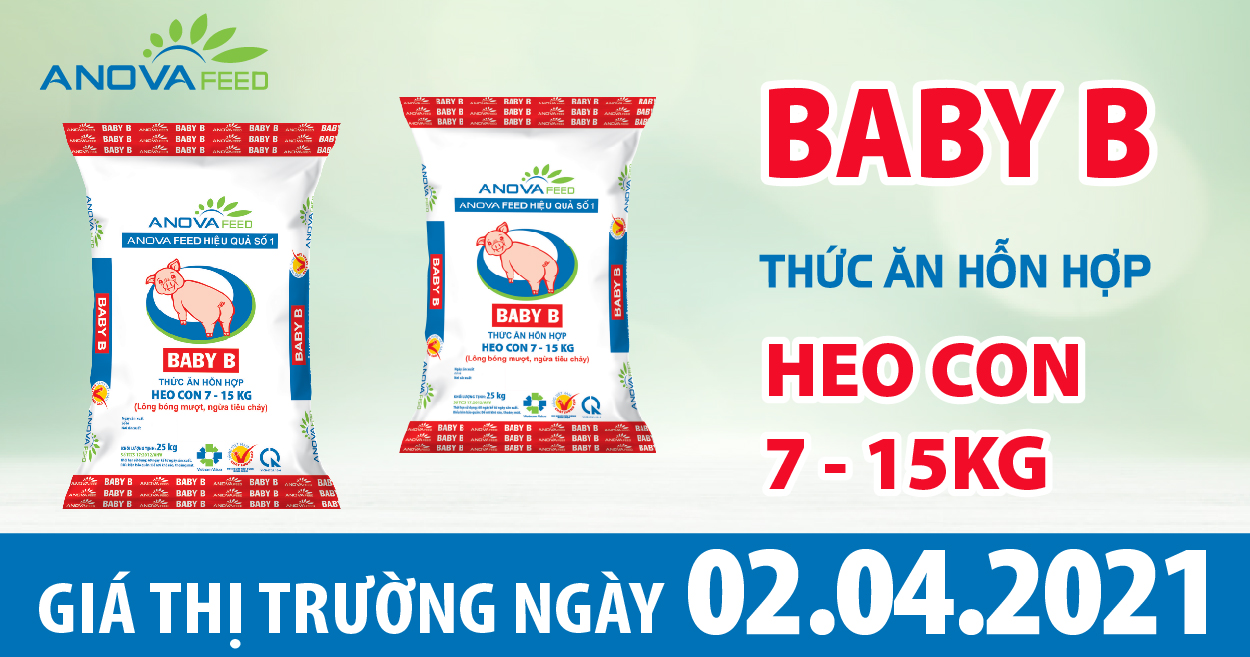 Anova Feed - Giá heo hơi 02/04/2021, tăng 1.000 đồng/kg tại Đồng Nai.