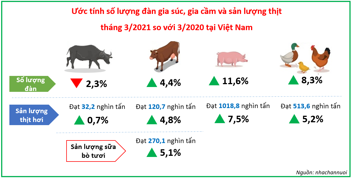 Tình hình chăn nuôi Quý I/2021