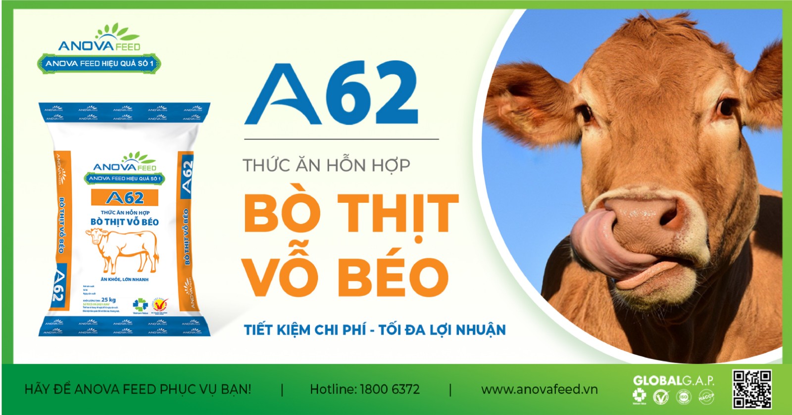 Sản phẩm dành cho bò thịt vỗ béo A62