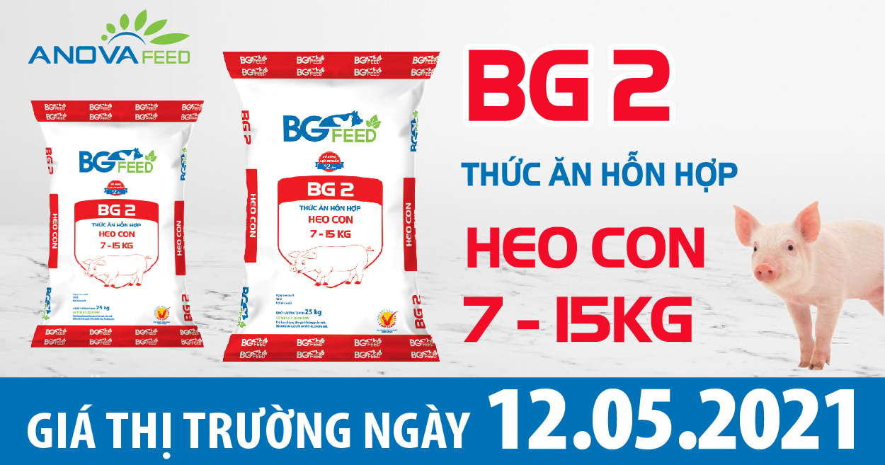 Anova Feed - Giá heo hơi ngày 12/05/2021 cao nhất 71.000 đồng/kg