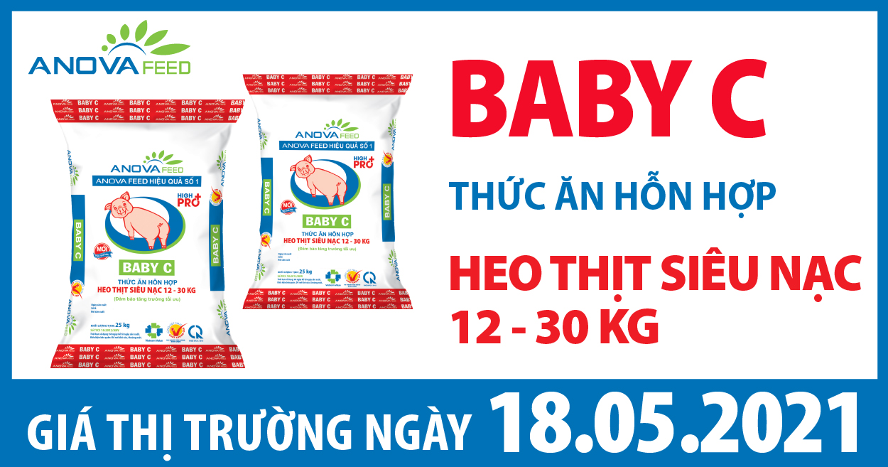 Anova Feed - Giá heo hơi ngày 18/05/2021 tăng nhẹ 1 vài địa phương miền Bắc