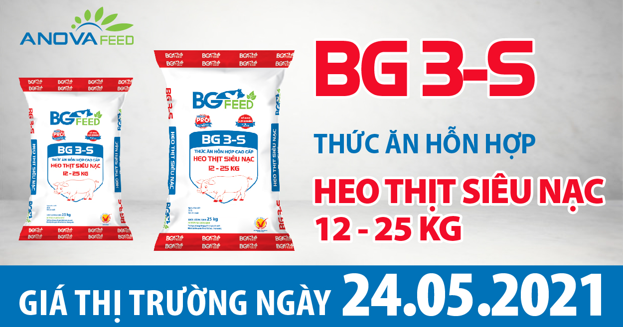 Anova Feed - Giá heo hơi ngày 24/05/2021 tăng ở 2 miền Bắc - Trung, miền Nam ổn định