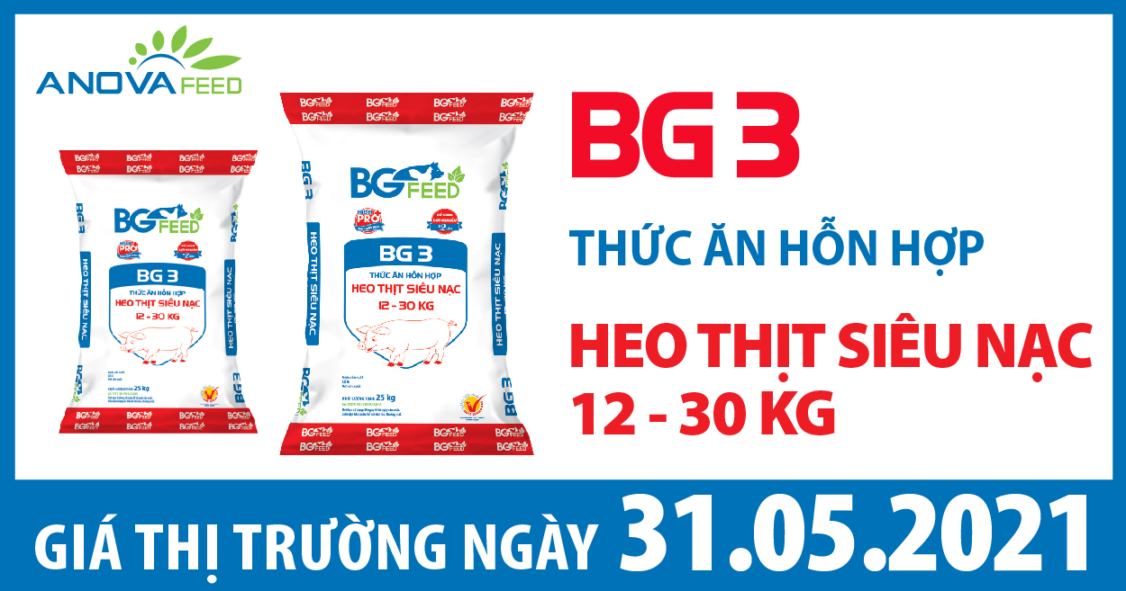 Anova Feed - Giá heo hơi ngày 31/05/2021 một vài nơi điều chỉnh 1.000 đồng/kg