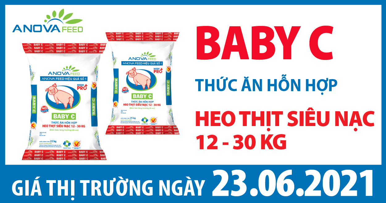 Anova Feed - Giá heo hơi hôm nay 23/6 miền Trung, Tây Nguyên biến động trái chiều