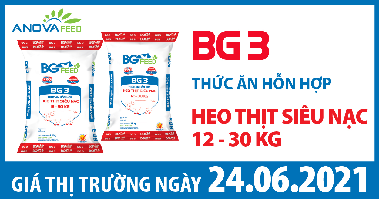 Anova Feed - Giá heo hơi hôm nay 24/6 giảm mạnh ở miền Nam