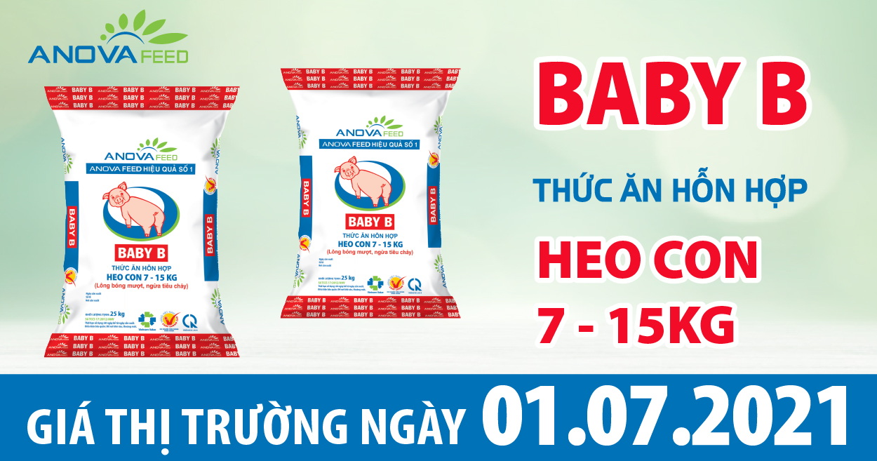 Anova Feed - Giá heo hơi hôm nay ngày 1/7 đầu tháng tiếp đà giảm mạnh