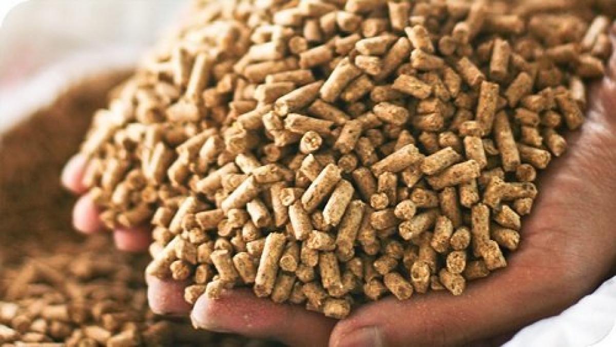 Họp báo công bố số liệu thống kê kinh tế, xã hội quý 2/2021 BÀI TOÁN BÌNH ỔN GIÁ THỨC ĂN CHĂN NUÔI