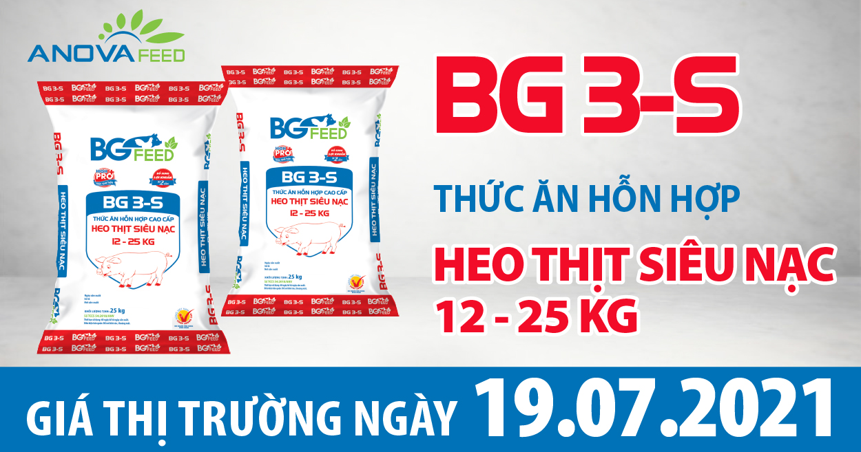 Anova Feed - Giá heo hơi hôm nay 19/7 tăng giảm trái chiều