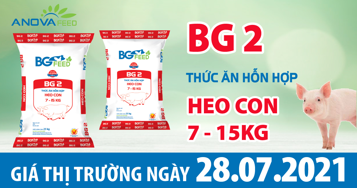 Anova Feed - Giá heo hơi hôm nay 28/7 đứng yên 3 miền