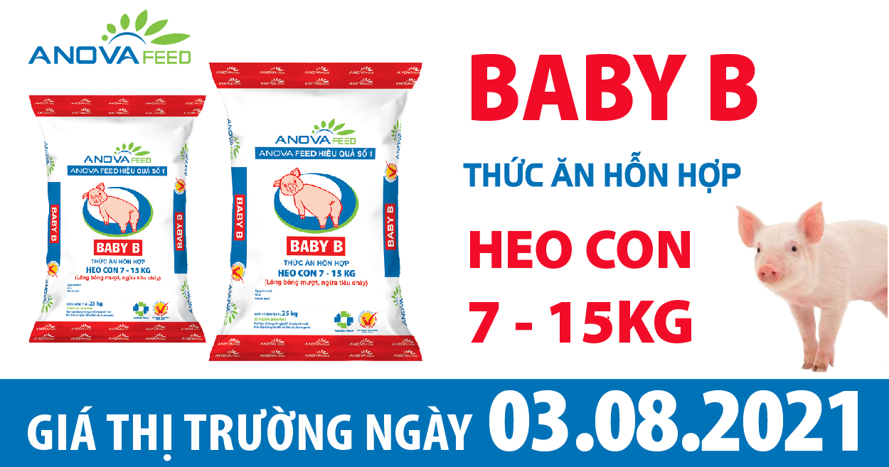 Anova Feed - Giá heo hơi hôm nay 3/8 đi ngang trên toàn quốc