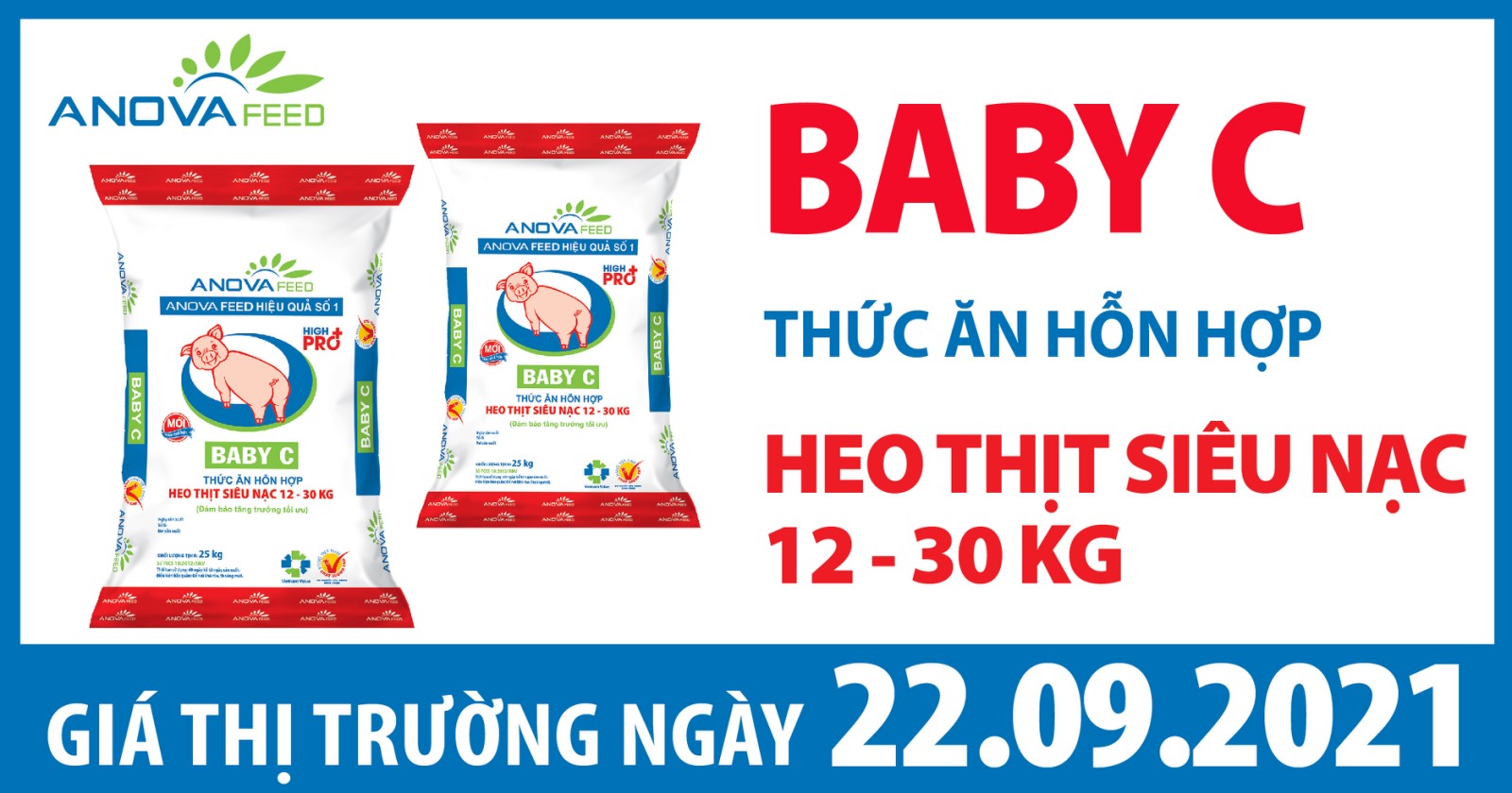 Anova Feed - Giá heo hơi hôm nay 22/09, vẫn có dấu hiệu giảm trên diện rộng