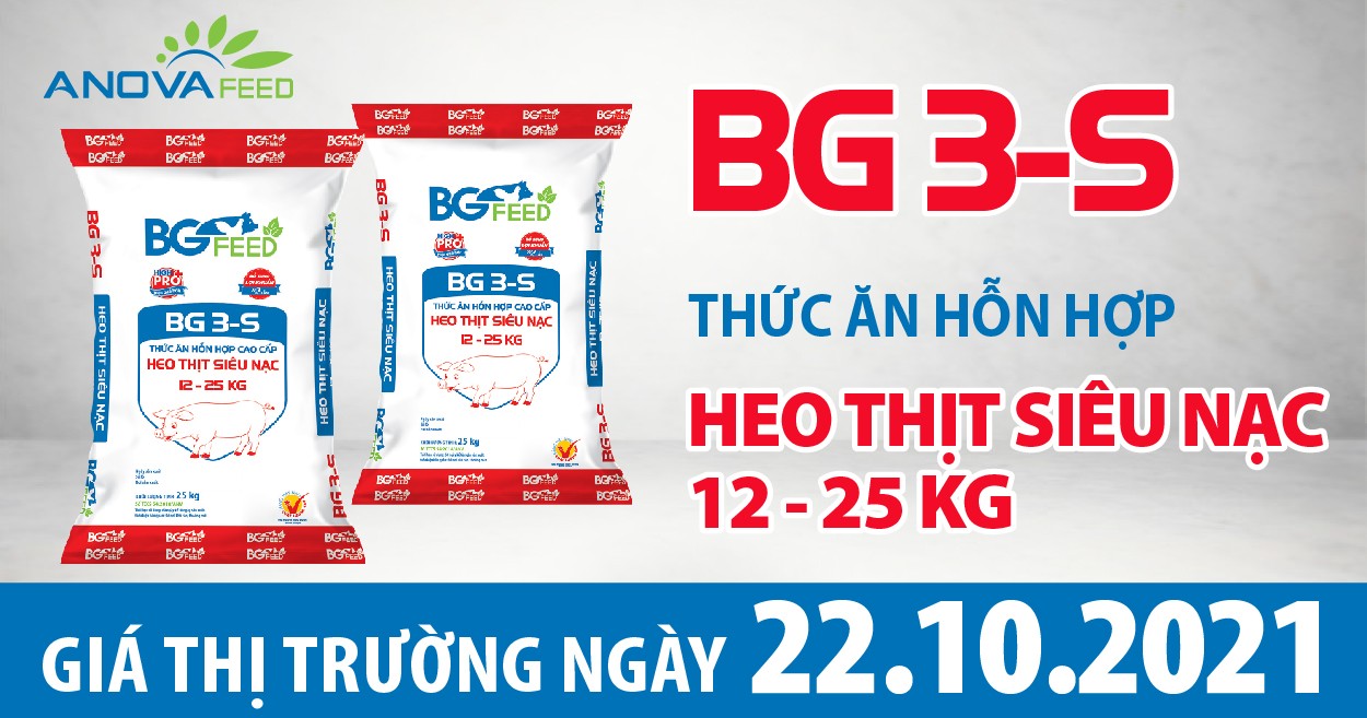 Anova Feed - Giá heo hơi hôm nay 22/10, sôi động trở lại và còn tăng mạnh