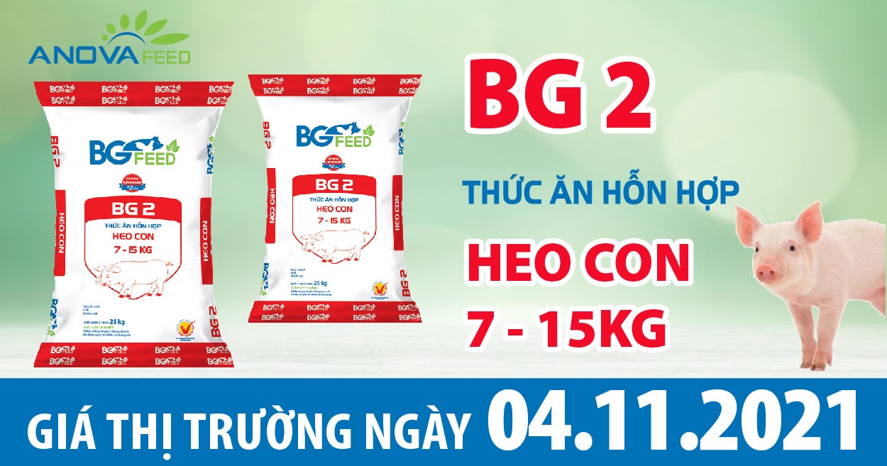 Anova Feed - Giá heo hơi hôm nay 04/11, giảm từ 1.000 - 2.000 đồng/kg