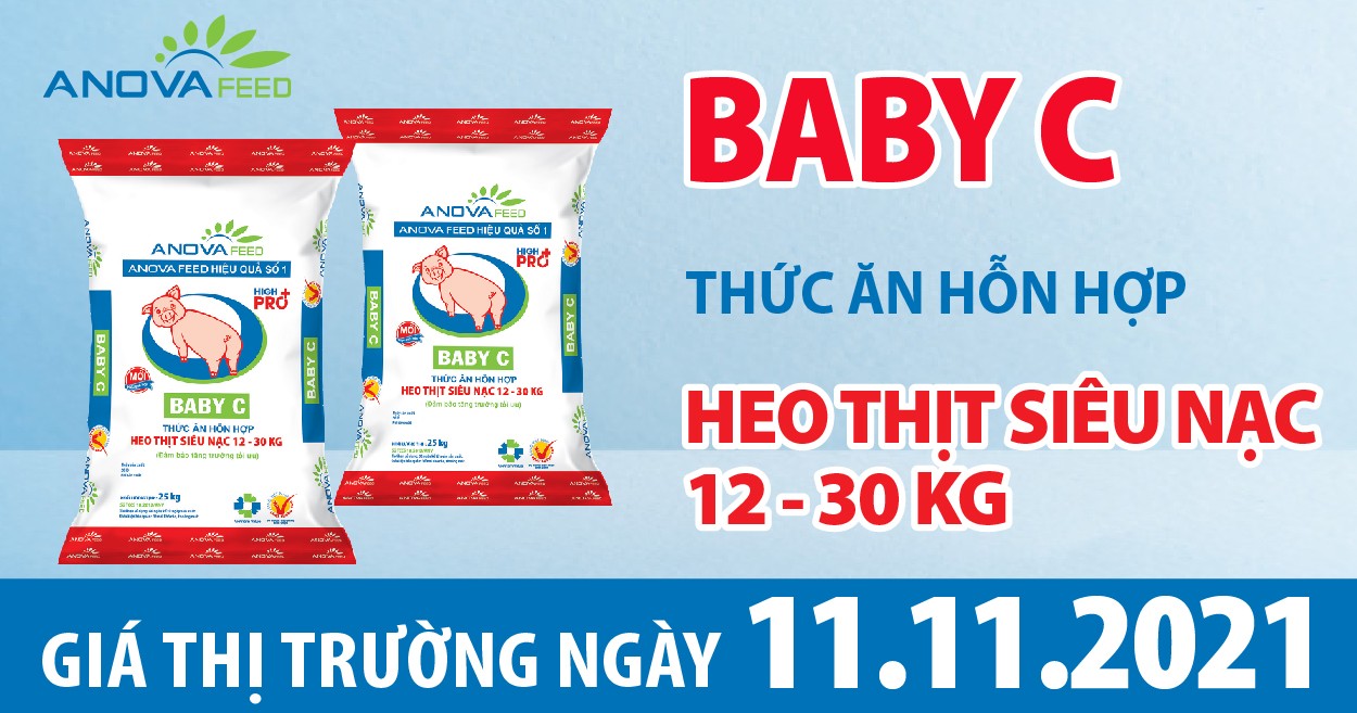 Anova Feed - Giá heo hơi hôm nay 11/11, không biến động