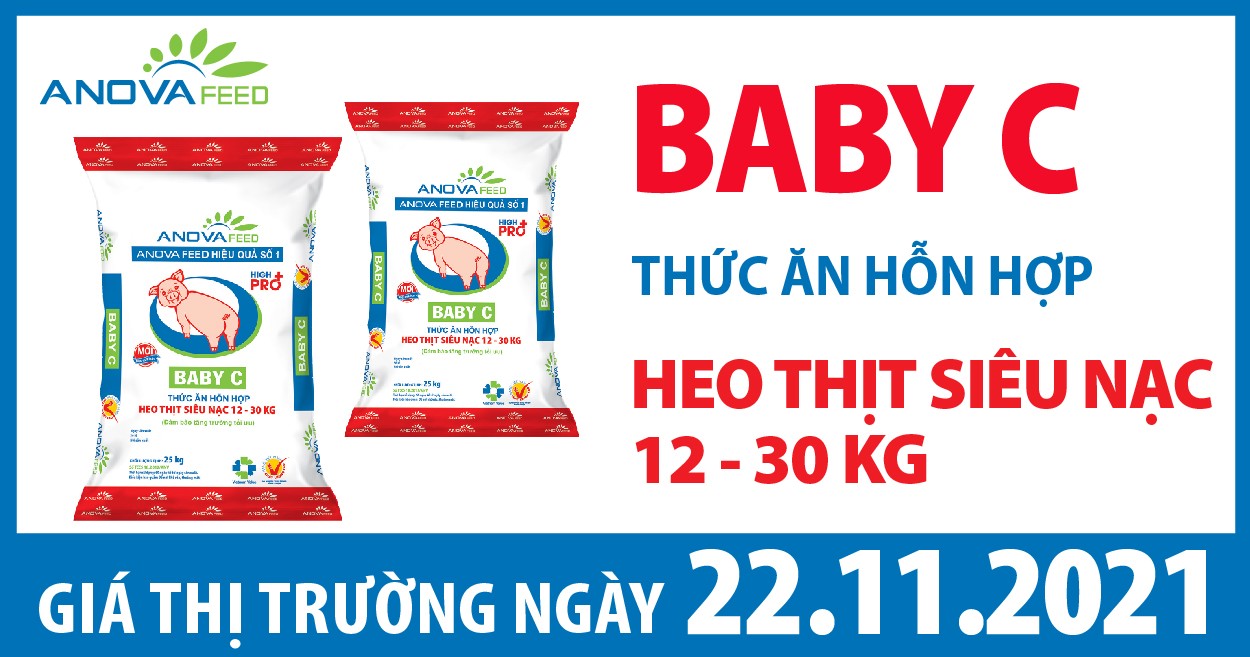 Anova Feed - Giá heo hơi ngày 22/11/2021 điều chỉnh nhẹ 1.000 đồng/kg.