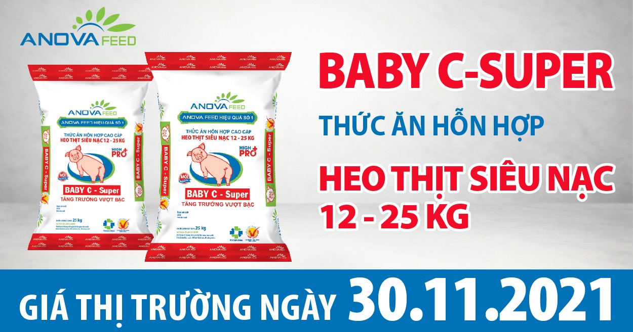 Anova Feed - Giá heo hơi ngày 30/11/2021 tiếp tục đà tăng hôm qua.