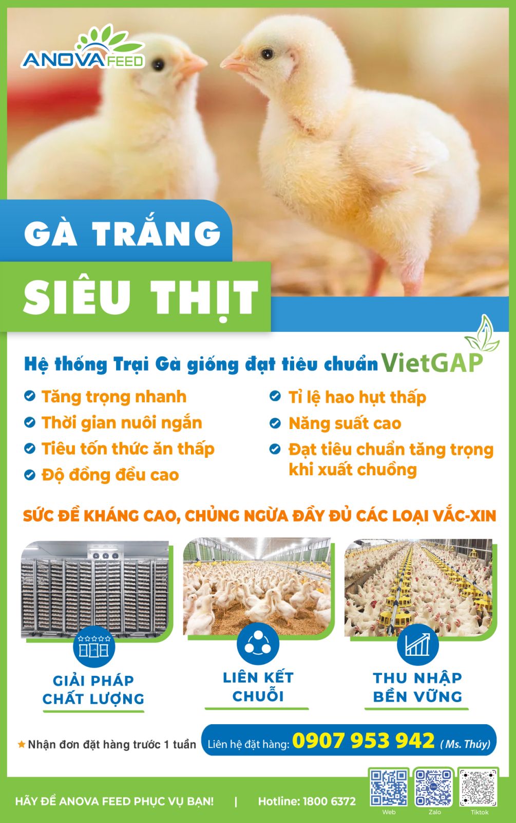 Hệ thống trại gà giống siêu thịt Anova Feed cung cấp con giống đạt chuẩn VietGAP