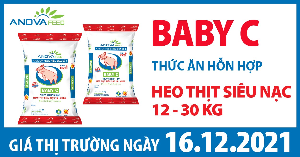 Anova Feed - Giá heo hơi ngày 16/12/2021 tăng giảm nhẹ.