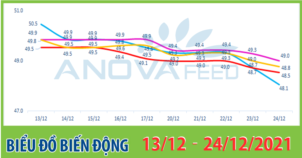 ANOVA FEED - BIỂU ĐỒ BIẾN ĐỘNG GIÁ THỊ TRƯỜNG CHĂN NUÔI 2 TUẦN GẦN NHẤT TỪ 13/12 - 24/12/2021