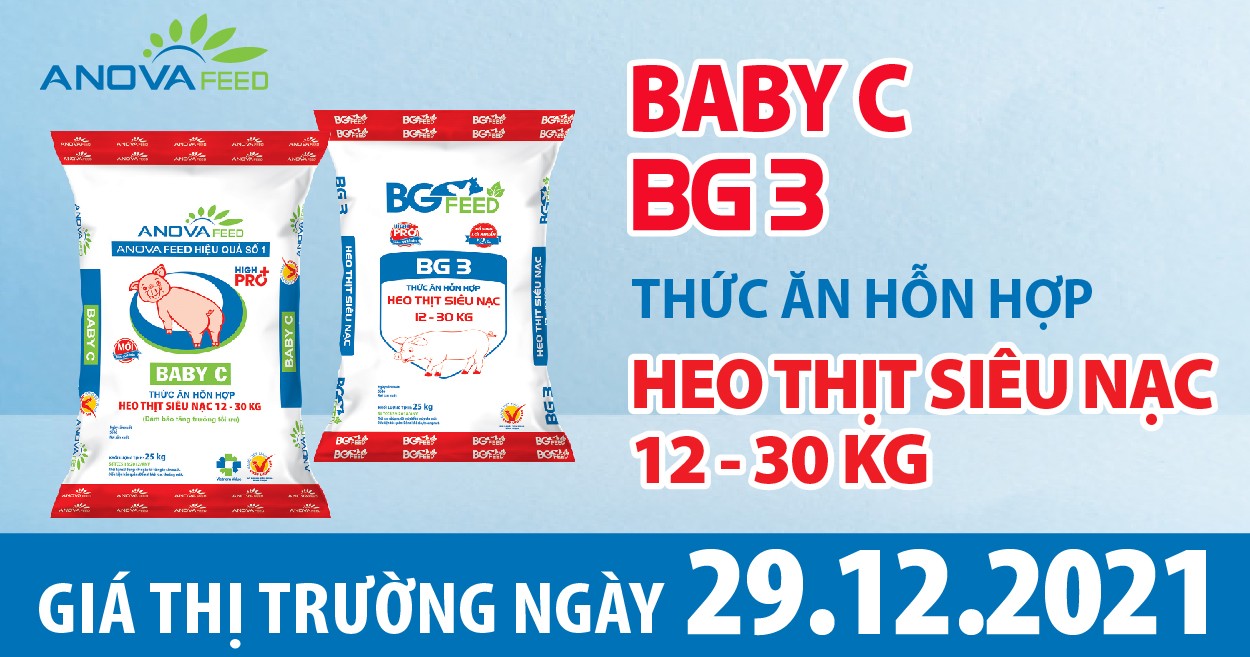 Anova Feed - Giá heo hơi ngày 29/12/2021 điều chỉnh nhẹ.
