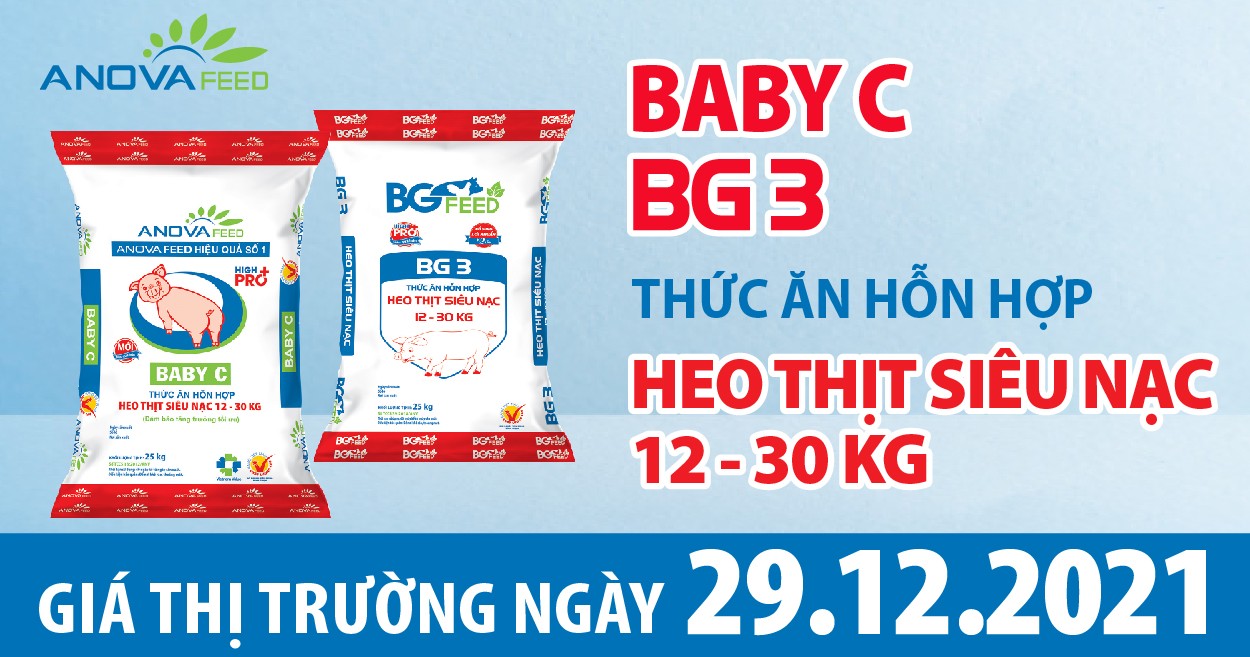 Anova Feed - Giá heo hơi ngày 29/12/2021 điều chỉnh nhẹ.