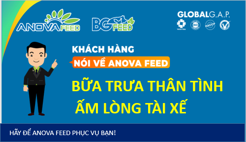 Bữa trưa thân tình cho tài xế từ Anova Feed