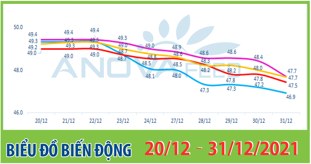 Anova Feed - Biểu đồ biến động giá thị trường chăn nuôi 2 tuần gần nhất từ 20/12 - 31/12/2021