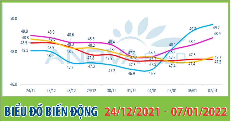 Anova Feed - Biểu đồ biến động giá thị trường chăn nuôi 2 tuần gần nhất từ 24/12/2021 - 07/01/2022