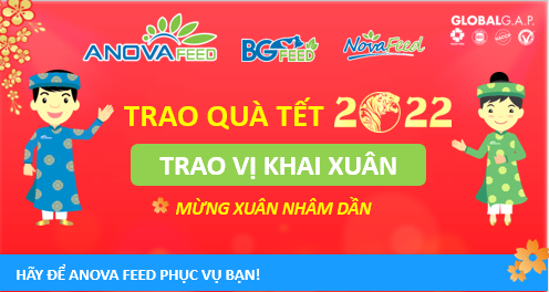 Anova Feed - Trao quà tết 2022 + Trao vị khai xuân