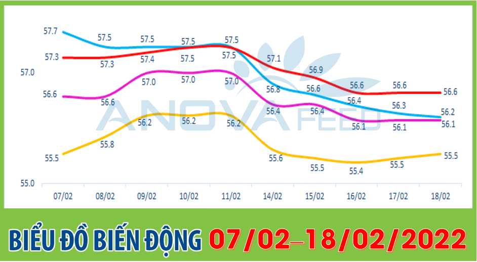 Anova Feed - Biểu đồ biến động giá thị trường chăn nuôi 2 tuần gần nhất từ 07/02 - 18/02/2022