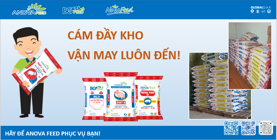 Cám đầy kho, vận may luôn đến!