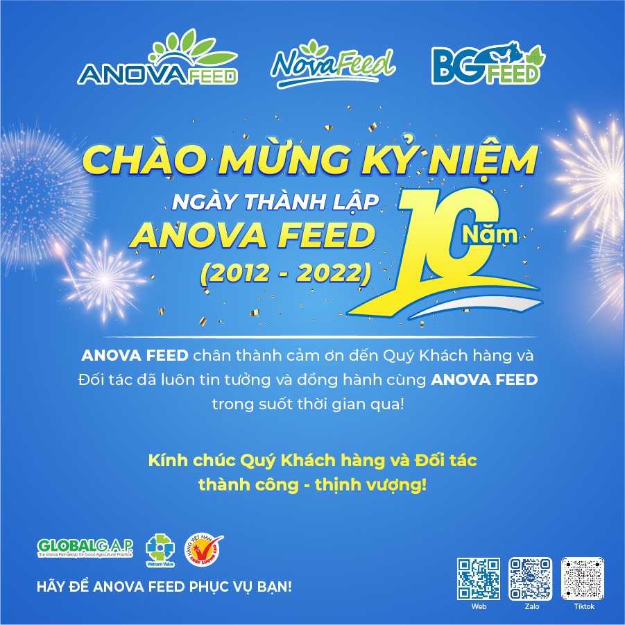 CHÀO MỪNG KỈ NIỆM 10 NĂM THÀNH LẬP ANOVA FEED