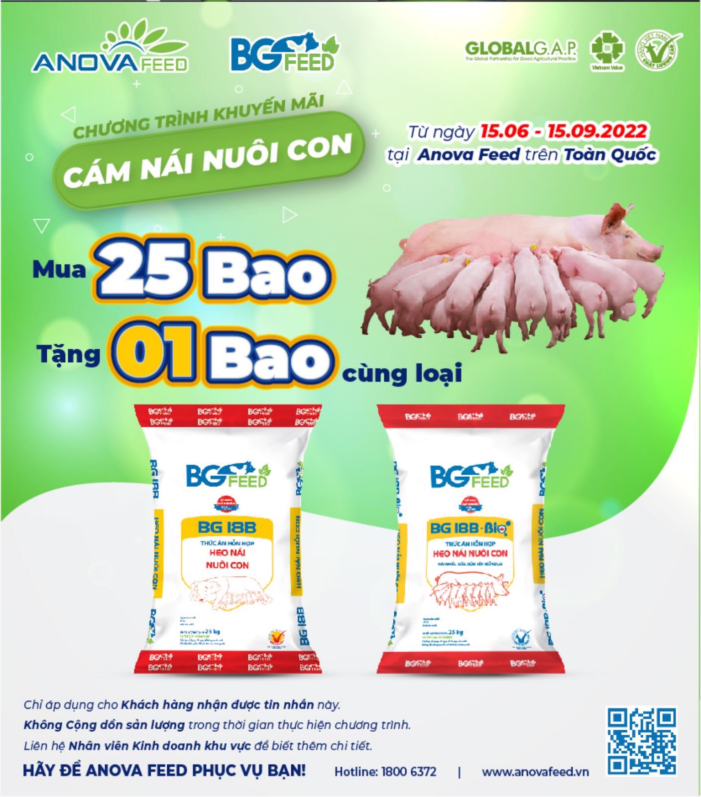 MUA 25 BAO CÁM NÁI NUÔI CON TẶNG NGAY 1 BAO CÙNG LOẠI