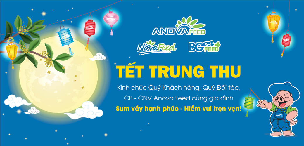 TRUNG THU ĐOÀN VIÊN CÙNG ANOVA FEED