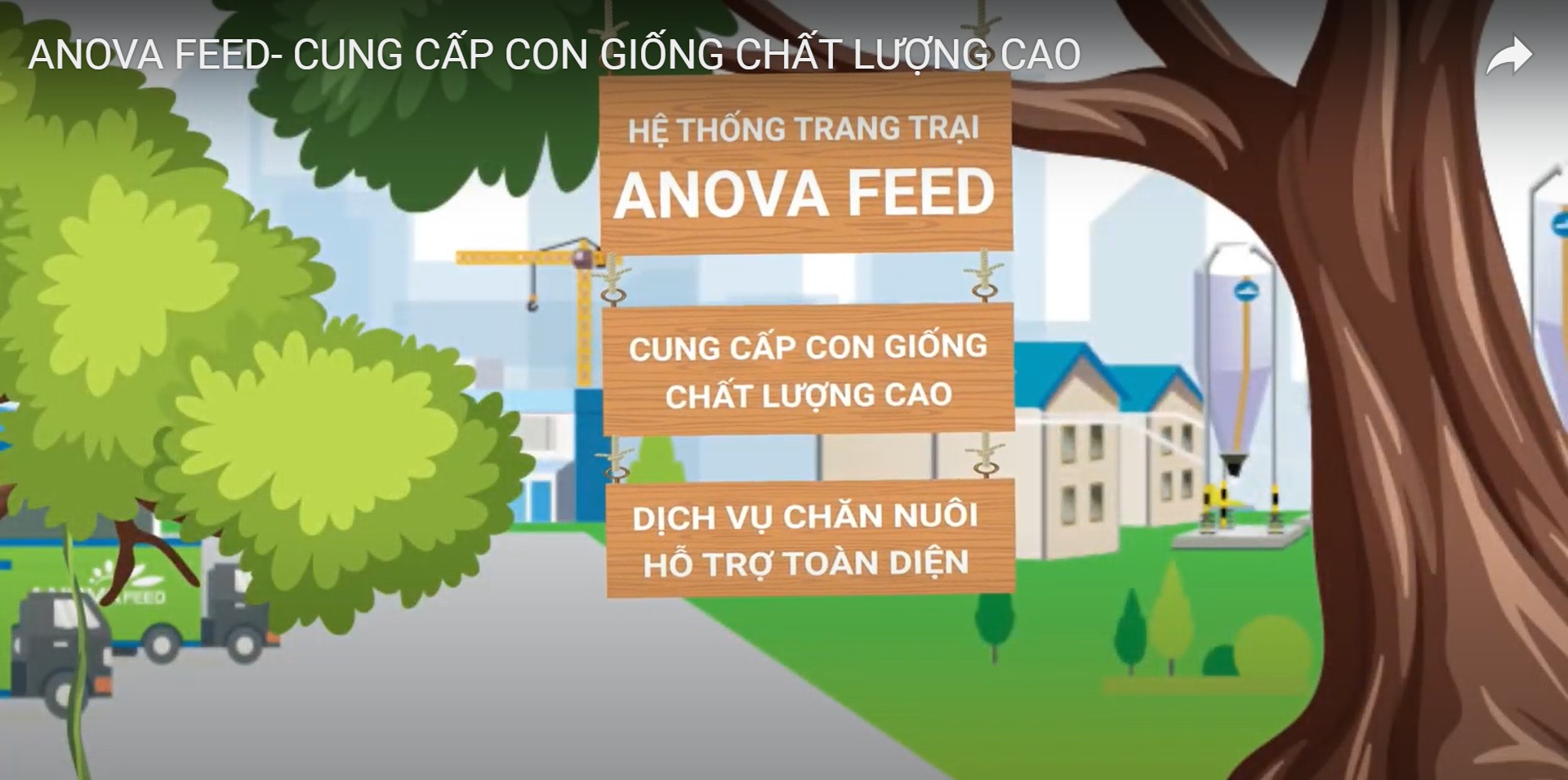 HỆ THỐNG TRANG TRẠI ANOVA FEED