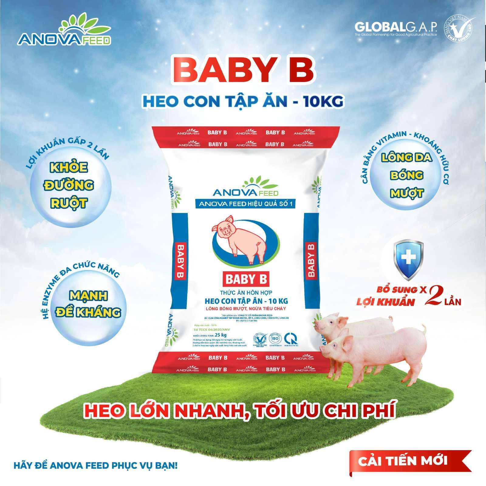 BABY B CẢI TIẾN MỚI TỐI ƯU CHO HEO CON TẬP ĂN - 10KG