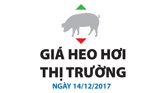 Giá heo hơi thị trường - Ngày 14/12/2017