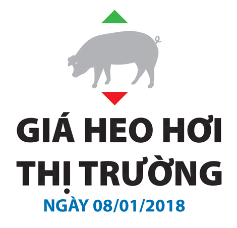 Giá heo hơi thị trường - Ngày 08/01/2017