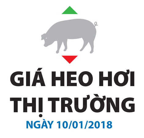 Giá heo hơi thị trường - Ngày 10/01/2018