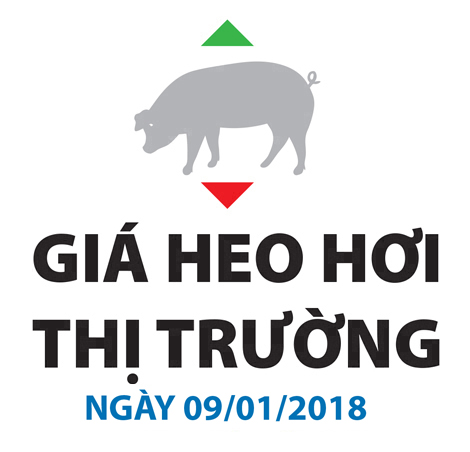 Giá heo hơi thị trường - Ngày 09/01/2018