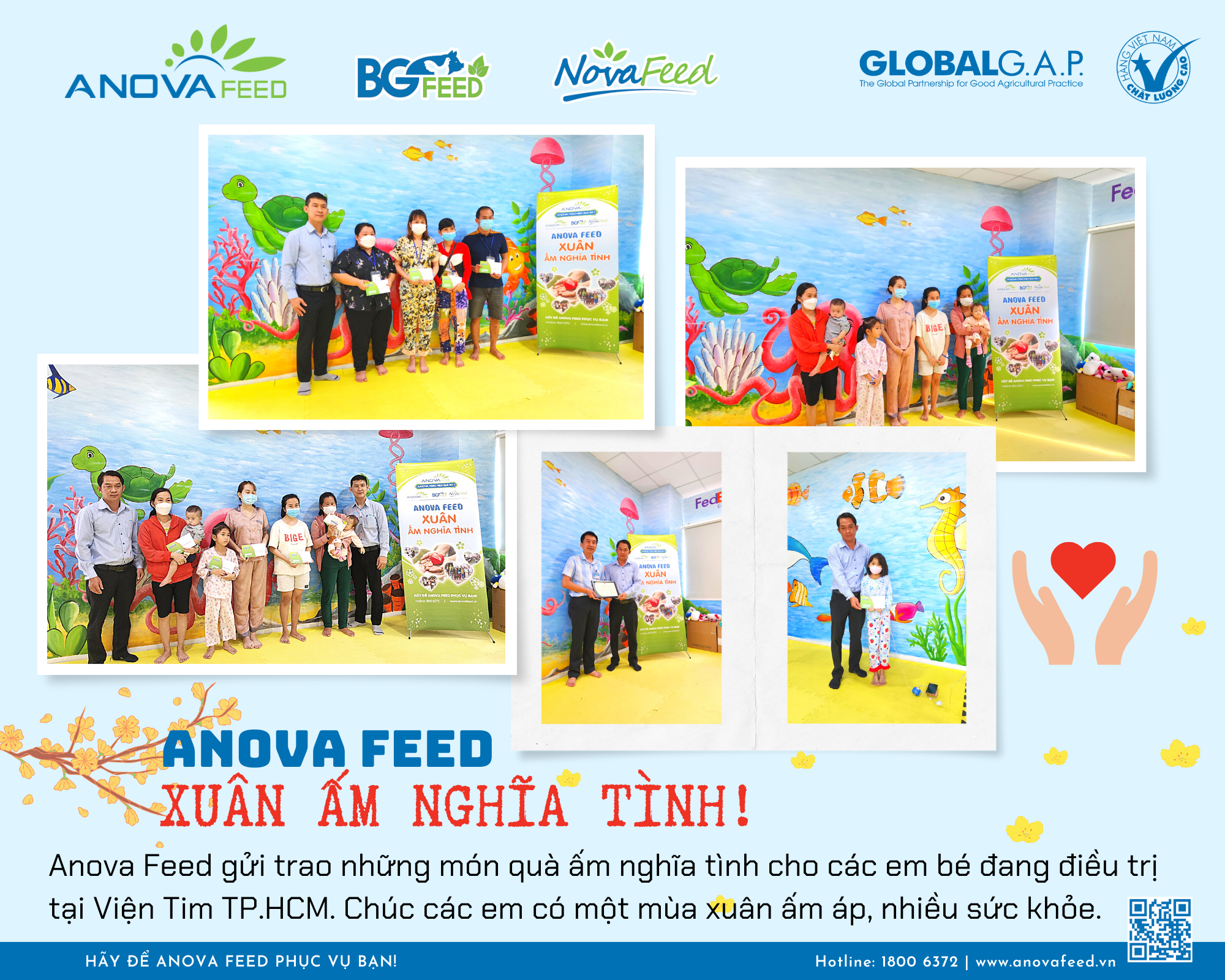 ANOVA FEED - XUÂN ẤM NGHĨA TÌNH