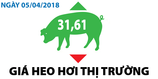 Giá heo hơi thị trường - Ngày 05/04/2018